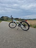 Kindervelo Leopard Space Cat 24``